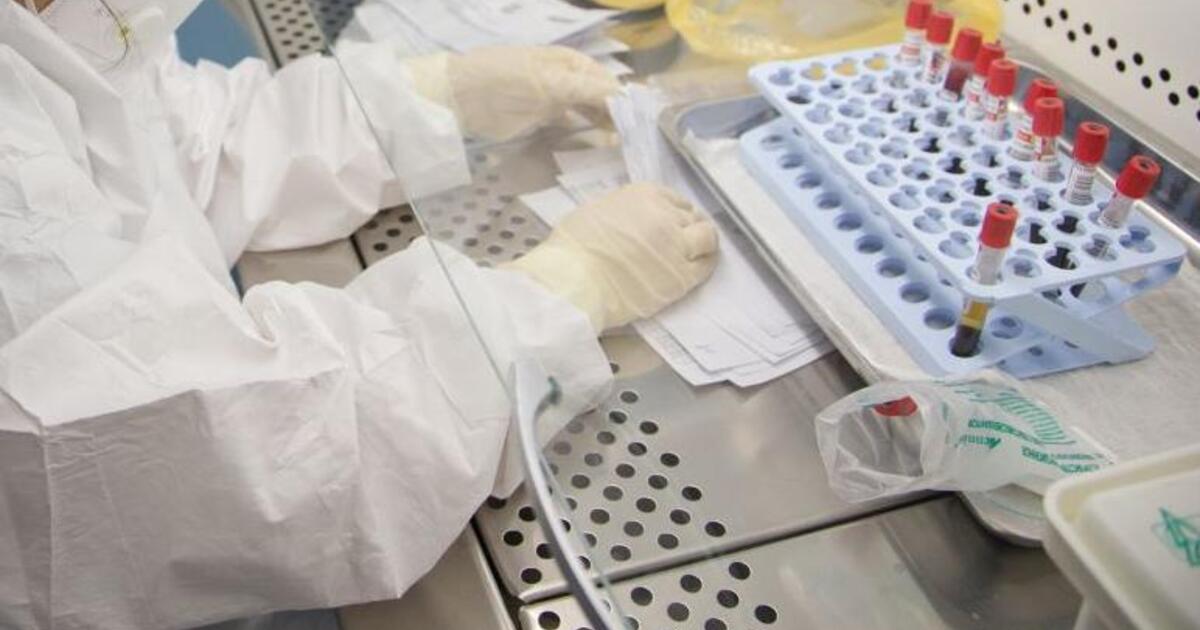 Эксперты ВОЗ обнаружили «важные улики» в ходе расследования по COVID-19