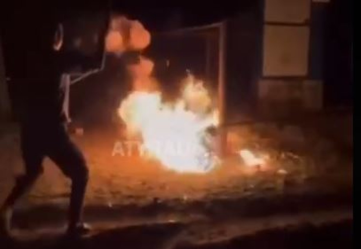 Двое молодых парней заживо сожгли собаку (+ВИДЕО)